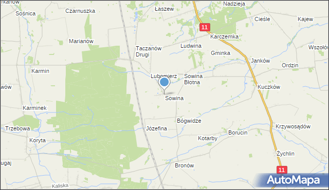 mapa Sowina, Sowina gmina Pleszew na mapie Targeo