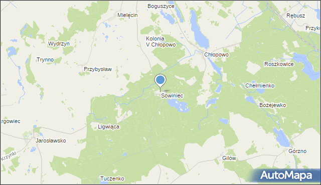 mapa Sowiniec, Sowiniec gmina Krzęcin na mapie Targeo