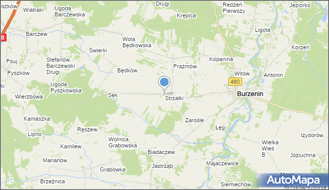 mapa Strzałki, Strzałki gmina Burzenin na mapie Targeo