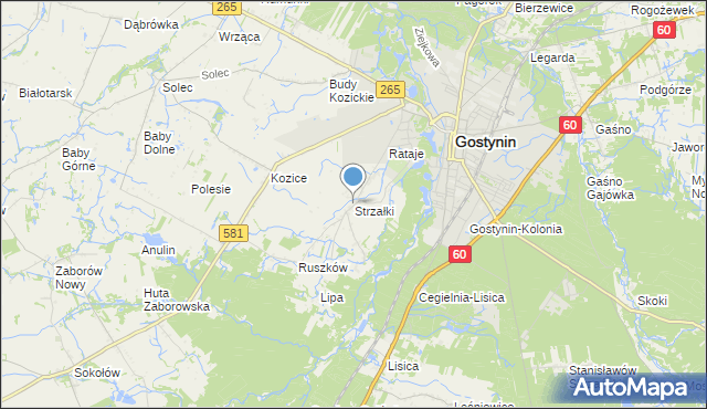 mapa Strzałki, Strzałki gmina Gostynin na mapie Targeo