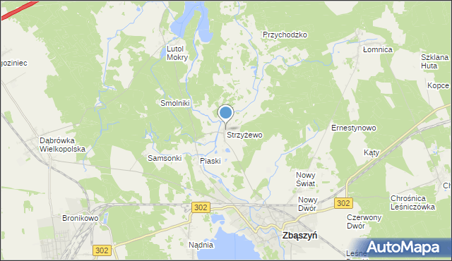 mapa Strzyżewo, Strzyżewo gmina Zbąszyń na mapie Targeo