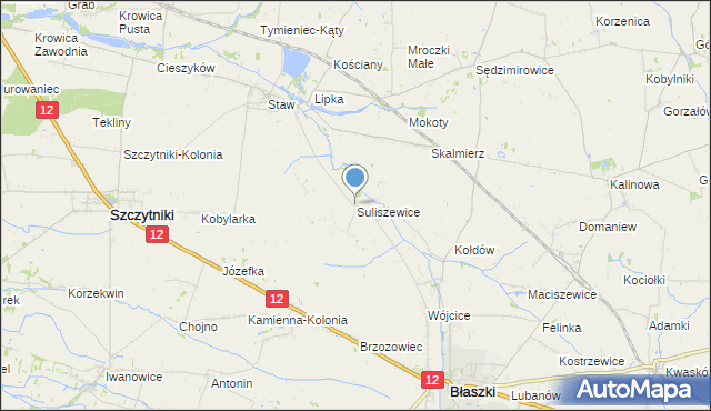 mapa Suliszewice, Suliszewice gmina Błaszki na mapie Targeo