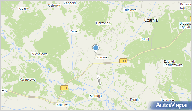 mapa Surowe, Surowe gmina Czarnia na mapie Targeo