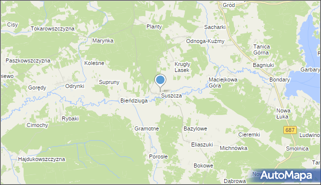 mapa Suszcza, Suszcza na mapie Targeo