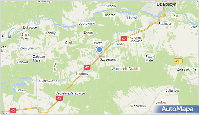 mapa Szczepany, Szczepany gmina Działoszyn na mapie Targeo