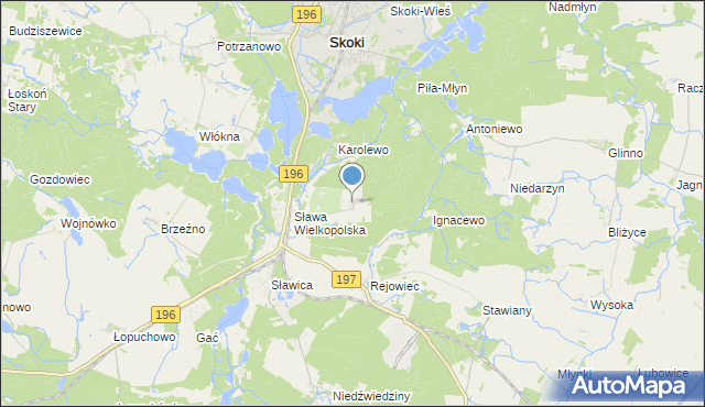 mapa Szczodrochowo, Szczodrochowo gmina Skoki na mapie Targeo
