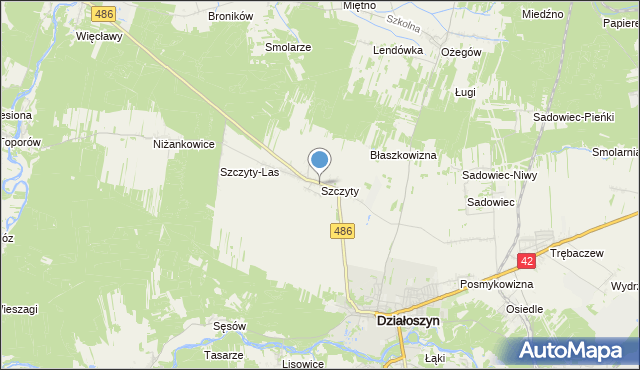 mapa Szczyty, Szczyty gmina Działoszyn na mapie Targeo