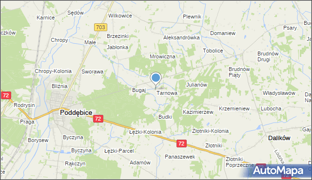 mapa Tarnowa, Tarnowa gmina Poddębice na mapie Targeo