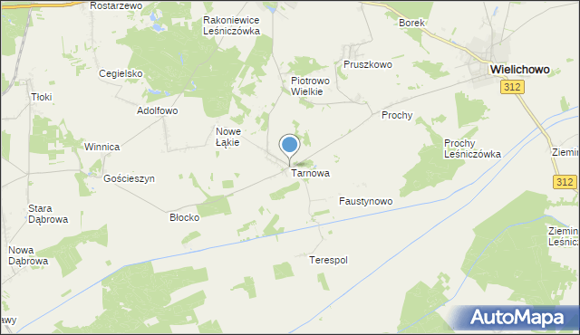 mapa Tarnowa, Tarnowa gmina Rakoniewice na mapie Targeo