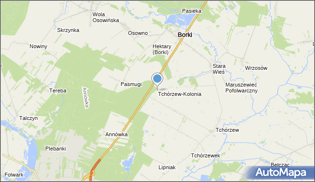 mapa Tchórzew-Kolonia, Tchórzew-Kolonia na mapie Targeo
