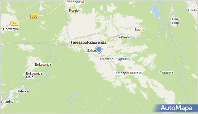 mapa Tereszpol-Zygmunty, Tereszpol-Zygmunty na mapie Targeo
