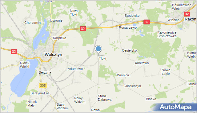 mapa Tłoki, Tłoki gmina Wolsztyn na mapie Targeo