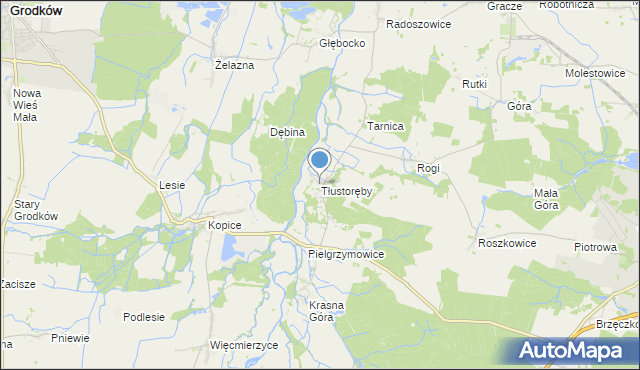 mapa Tłustoręby, Tłustoręby na mapie Targeo