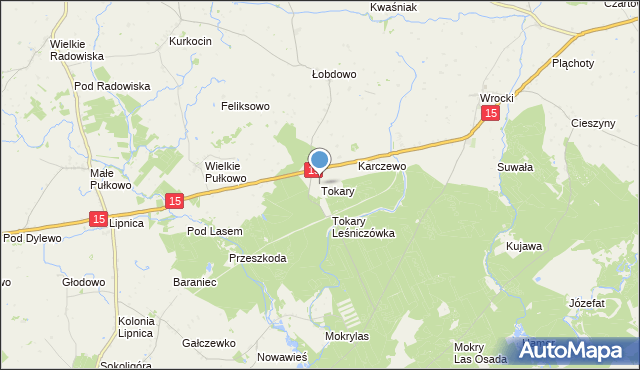 mapa Tokary, Tokary gmina Golub-Dobrzyń na mapie Targeo