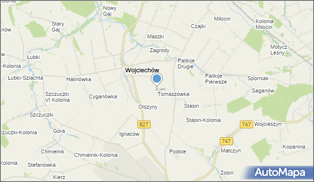 mapa Tomaszówka, Tomaszówka gmina Wojciechów na mapie Targeo