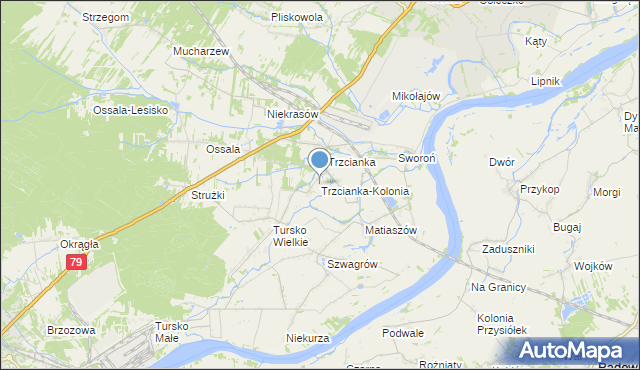 mapa Trzcianka-Kolonia, Trzcianka-Kolonia gmina Osiek na mapie Targeo