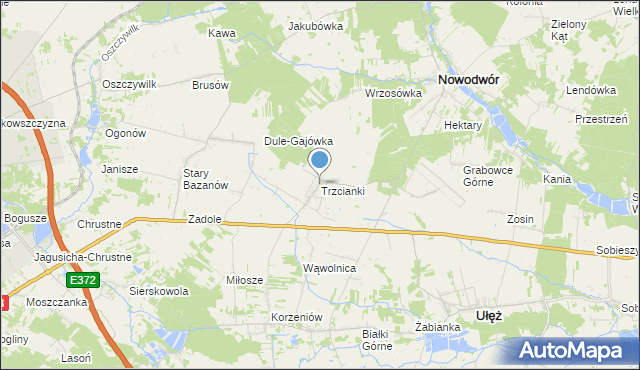 mapa Trzcianki, Trzcianki gmina Nowodwór na mapie Targeo