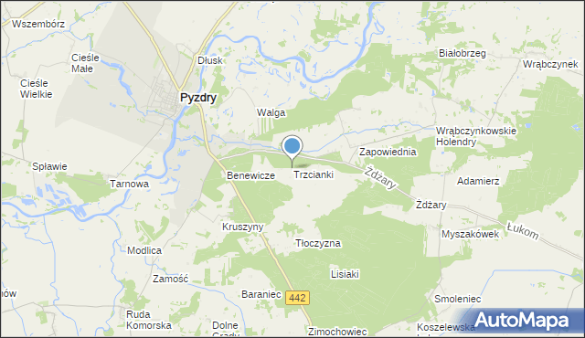 mapa Trzcianki, Trzcianki gmina Pyzdry na mapie Targeo