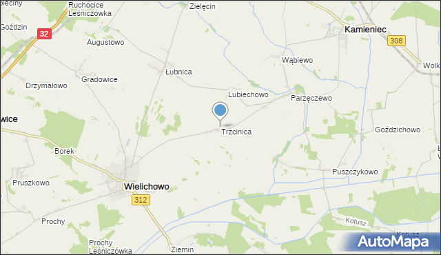 mapa Trzcinica, Trzcinica gmina Wielichowo na mapie Targeo