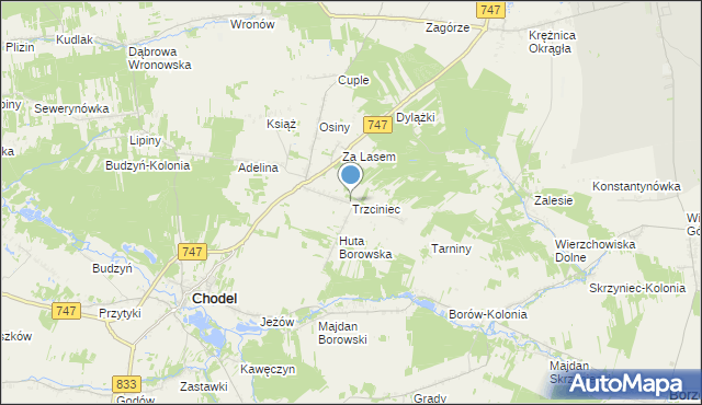 mapa Trzciniec, Trzciniec gmina Chodel na mapie Targeo