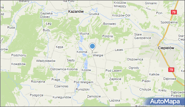 mapa Wielgie, Wielgie gmina Ciepielów na mapie Targeo