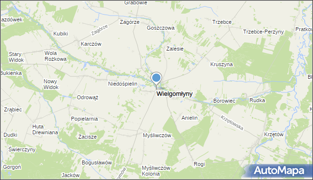 mapa Wielgomłyny, Wielgomłyny na mapie Targeo