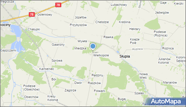 mapa Wielkopole, Wielkopole gmina Słupia na mapie Targeo