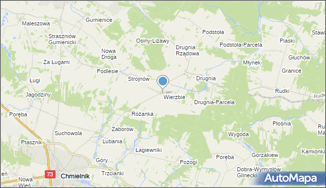 mapa Wierzbie, Wierzbie gmina Pierzchnica na mapie Targeo