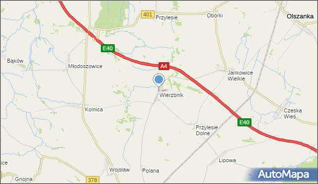 mapa Wierzbnik, Wierzbnik gmina Grodków na mapie Targeo