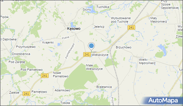 mapa Wieszczyce, Wieszczyce gmina Kęsowo na mapie Targeo