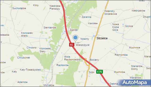 mapa Wieszczyce, Wieszczyce gmina Strzelce na mapie Targeo