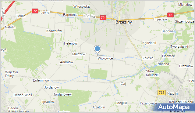 mapa Witkowice, Witkowice gmina Brzeziny na mapie Targeo