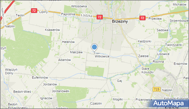 mapa Witkowice, Witkowice gmina Brzeziny na mapie Targeo