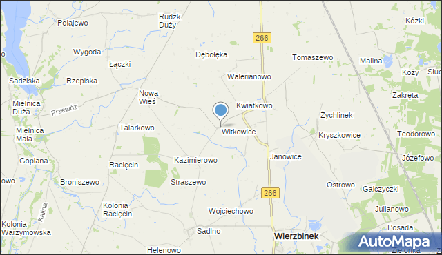 mapa Witkowice, Witkowice gmina Wierzbinek na mapie Targeo