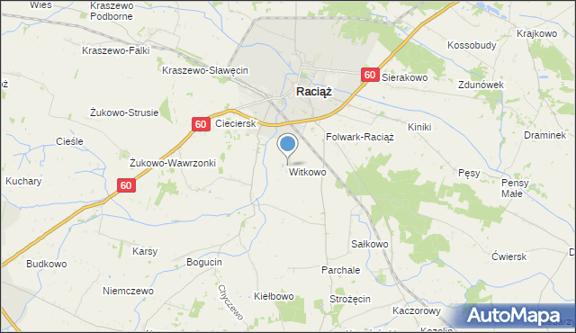 mapa Witkowo, Witkowo gmina Raciąż na mapie Targeo