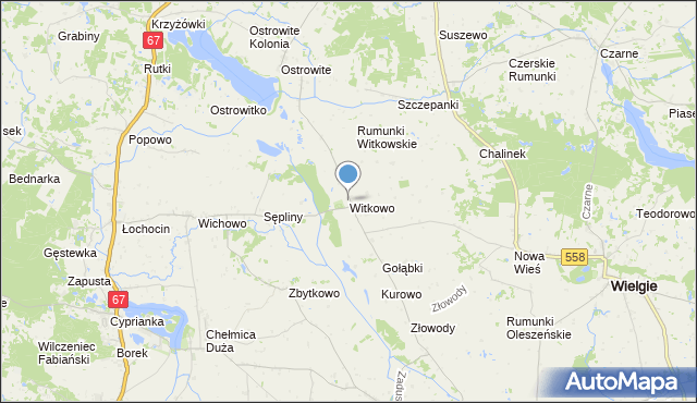 mapa Witkowo, Witkowo gmina Wielgie na mapie Targeo