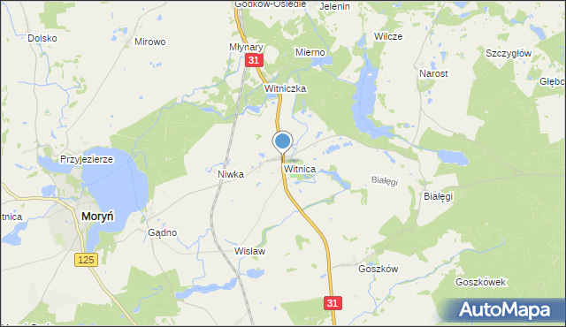 mapa Witnica, Witnica gmina Moryń na mapie Targeo