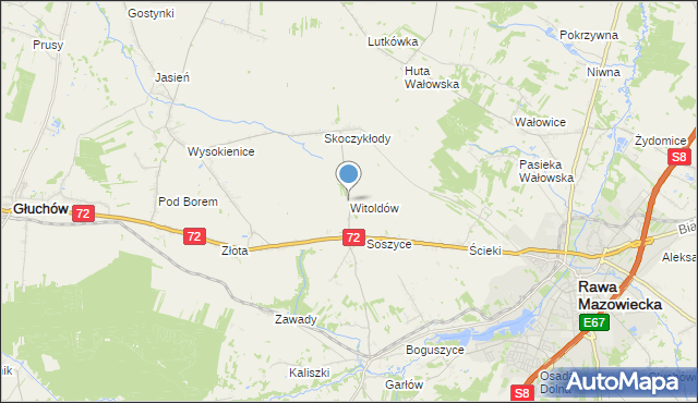 mapa Witoldów, Witoldów gmina Głuchów na mapie Targeo