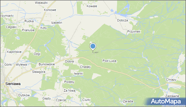 mapa Witoldówka, Witoldówka na mapie Targeo