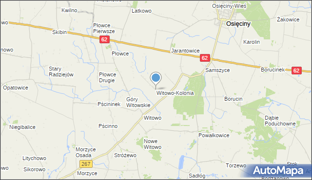 mapa Witowo-Kolonia, Witowo-Kolonia na mapie Targeo