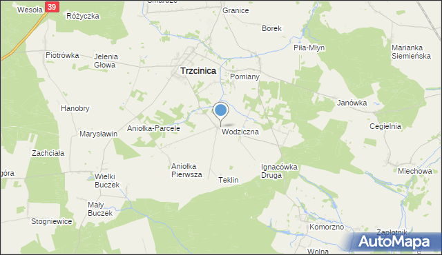 mapa Wodziczna, Wodziczna gmina Trzcinica na mapie Targeo