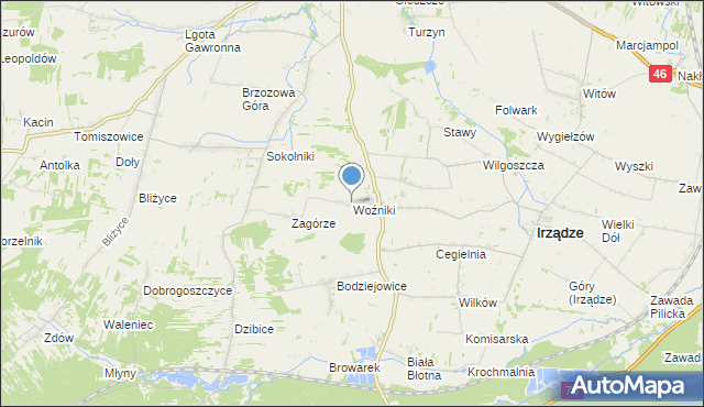 mapa Woźniki, Woźniki gmina Irządze na mapie Targeo