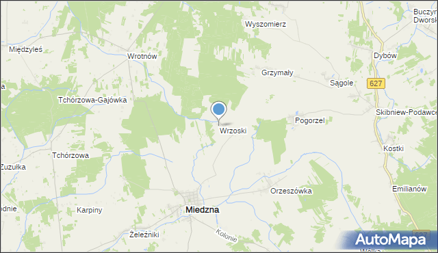 mapa Wrzoski, Wrzoski gmina Miedzna na mapie Targeo
