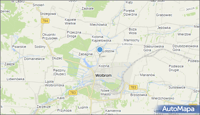 mapa Wymysłów, Wymysłów gmina Wolbrom na mapie Targeo