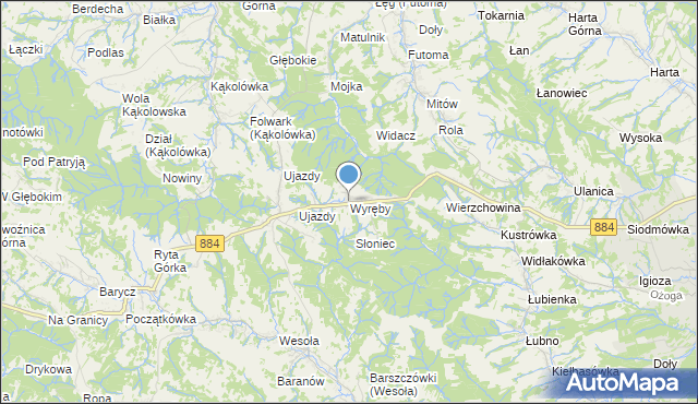 mapa Wyręby, Wyręby gmina Dynów na mapie Targeo