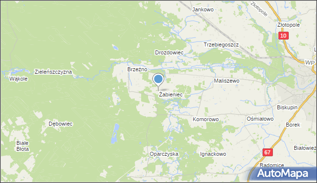 mapa Żabieniec, Żabieniec gmina Lipno na mapie Targeo