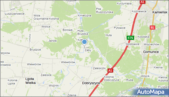 mapa Żaby, Żaby gmina Dobryszyce na mapie Targeo