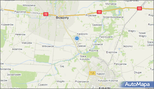 mapa Zalesie, Zalesie gmina Brzeziny na mapie Targeo