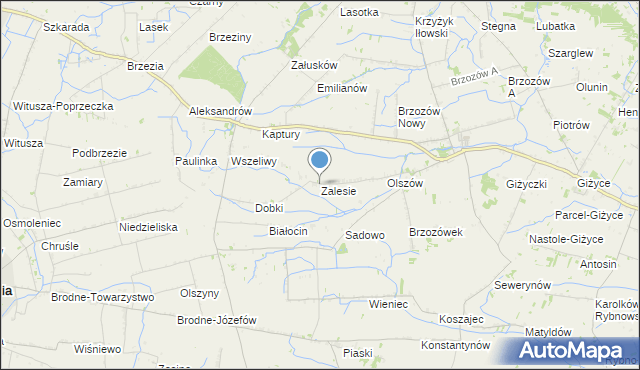 mapa Zalesie, Zalesie gmina Iłów na mapie Targeo