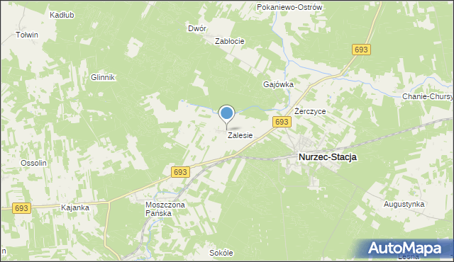 mapa Zalesie, Zalesie gmina Nurzec-Stacja na mapie Targeo